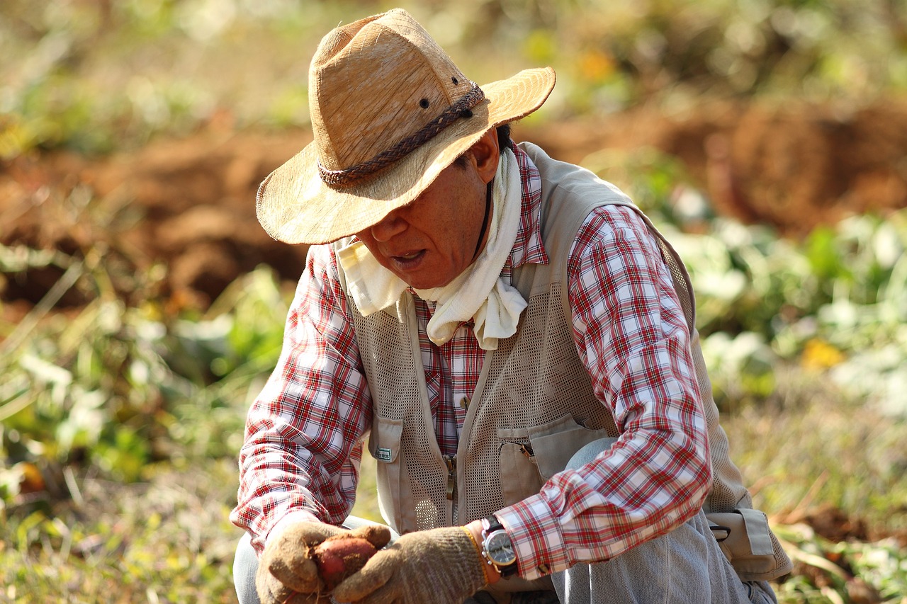 What are the Economic Benefits of Eco-Friendly Farming?